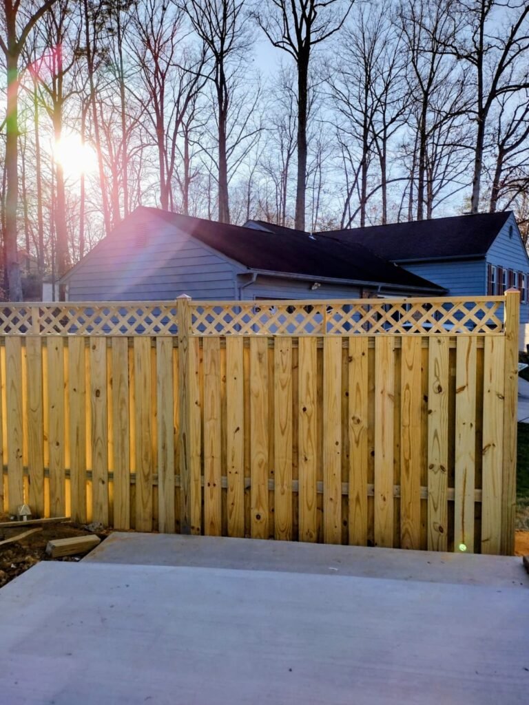 whatsapp image 2025 10 18 at 16.24.54 a233d950