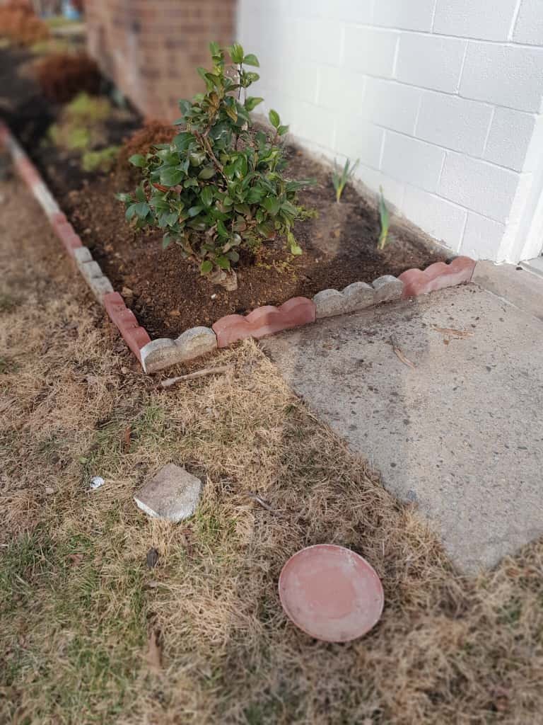 whatsapp image 2025 11 18 at 16.10.22 c0d353bc