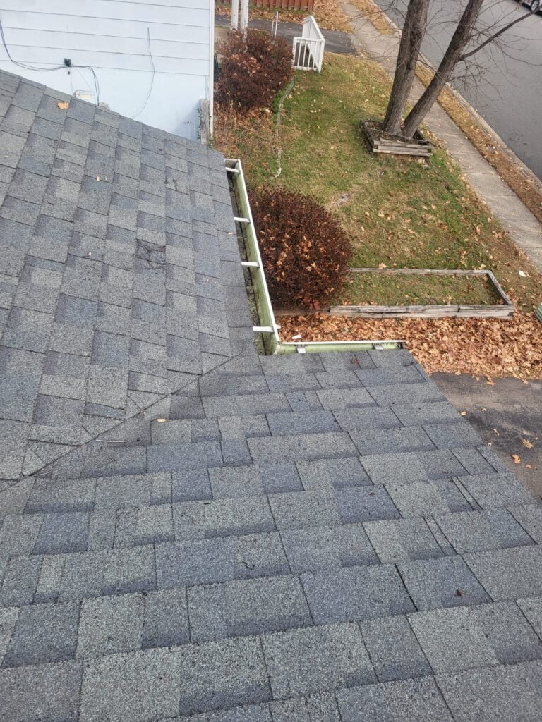 Gutter cleaning Service whatsapp image 2026 02 17 at 9.03.51 pm