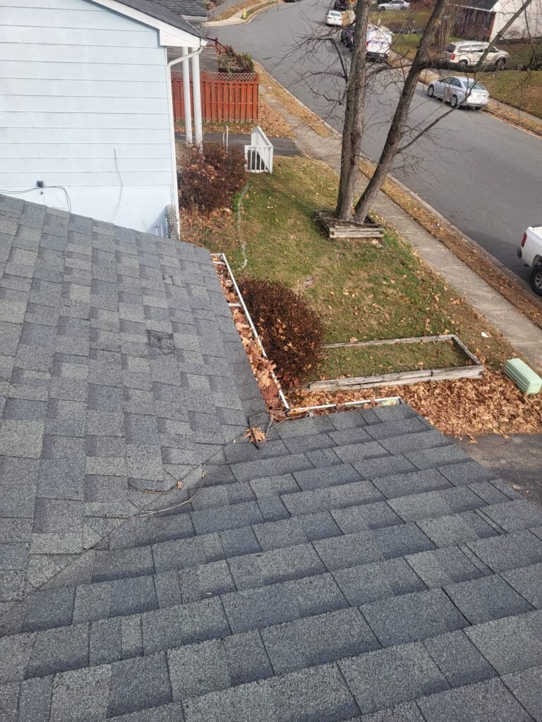 Gutter cleaning Service whatsapp image 2026 02 17 at 9.03.52 pm