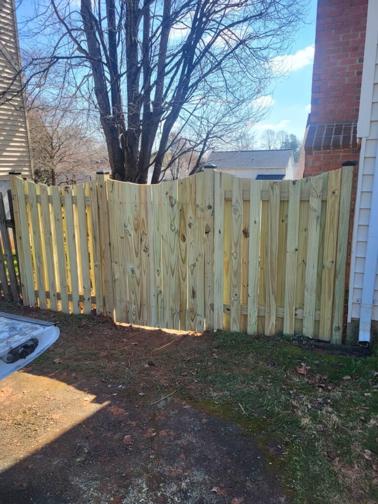 whatsapp image 2026 03 22 at 9.51.17 pm