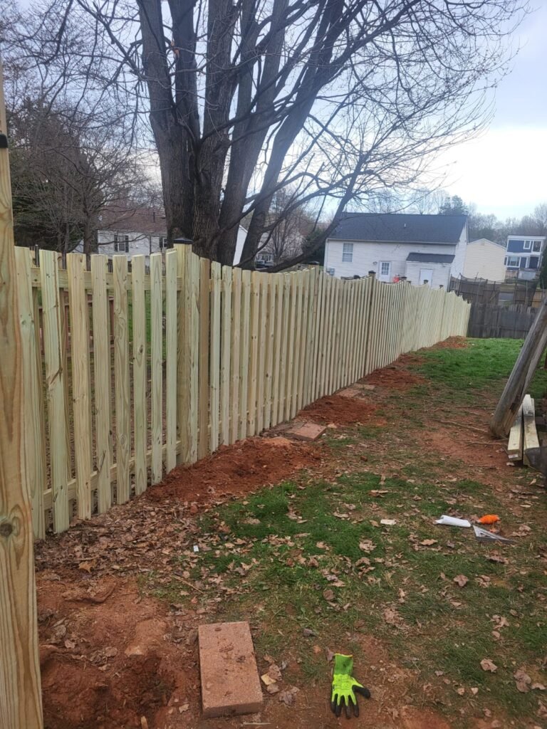 whatsapp image 2026 03 22 at 9.51.18 pm