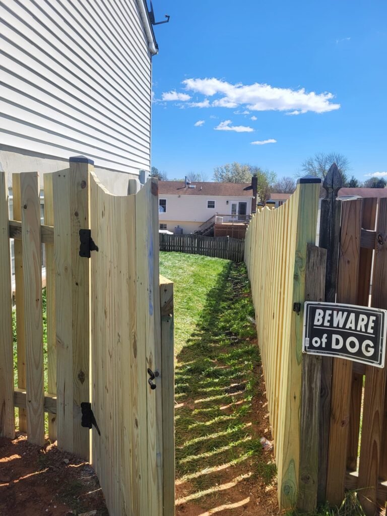 whatsapp image 2026 03 30 at 2.40.46 pm