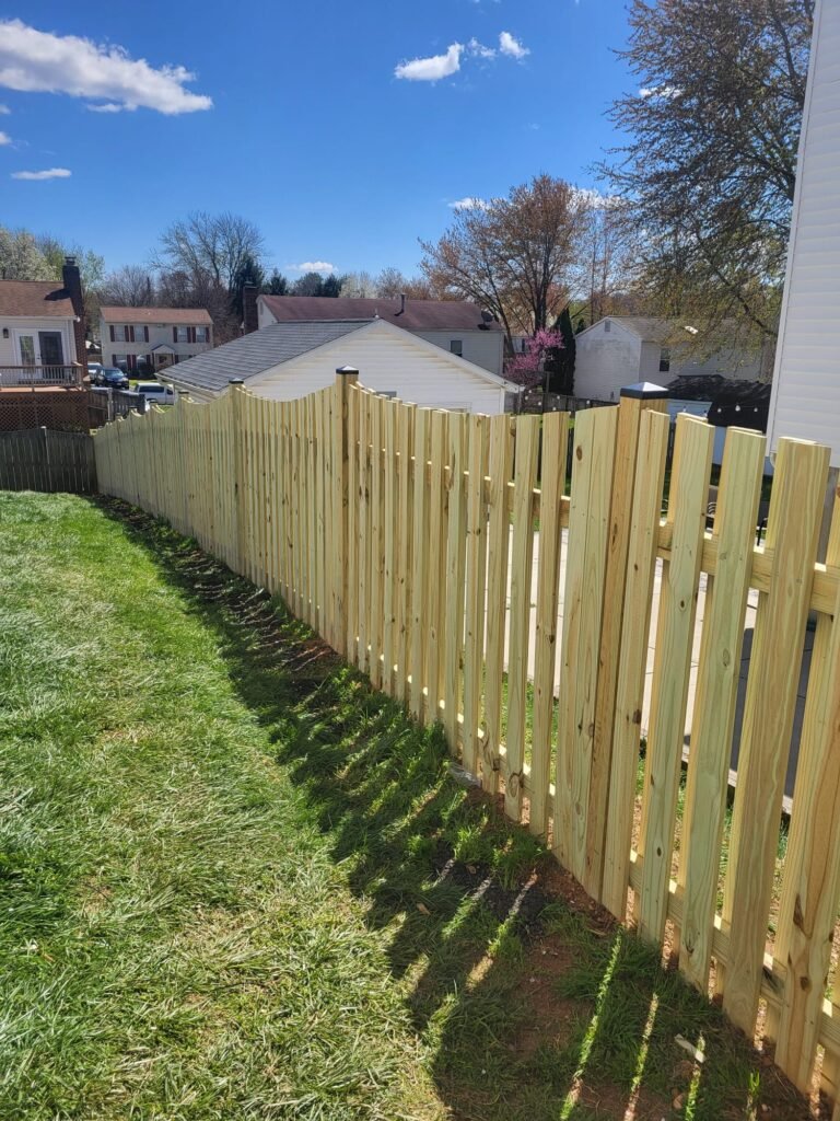 whatsapp image 2026 03 30 at 2.40.47 pm