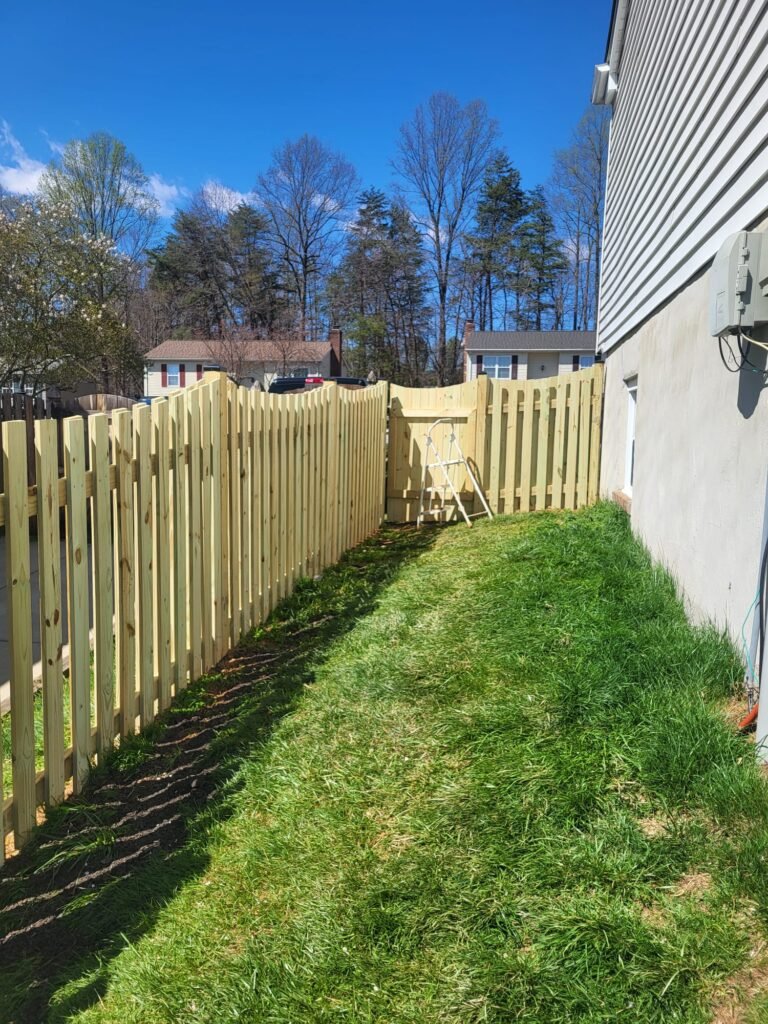 whatsapp image 2026 03 30 at 2.40.49 pm