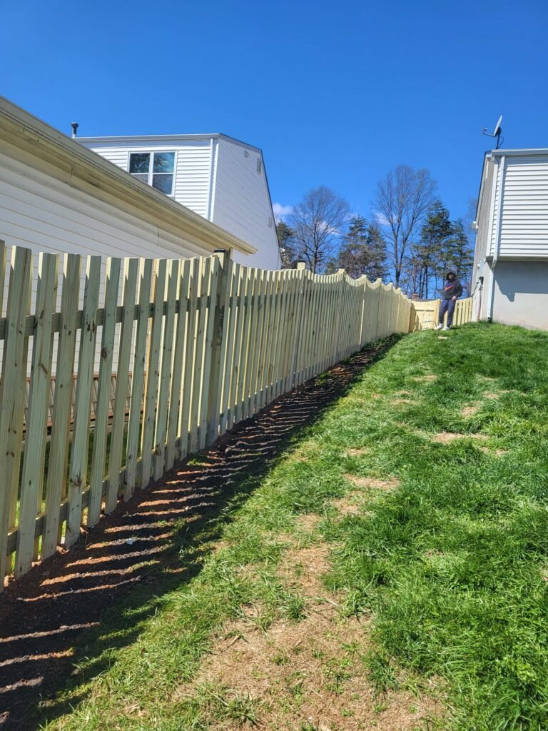 whatsapp image 2026 03 30 at 2.40.51 pm (1)