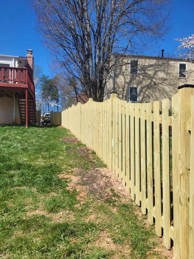 whatsapp image 2026 03 30 at 2.40.51 pm