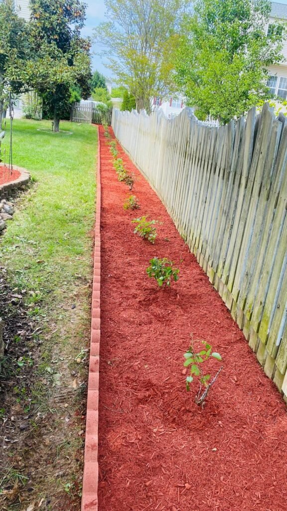 whatsapp image 2026 05 22 at 9.09.59 pm (5)